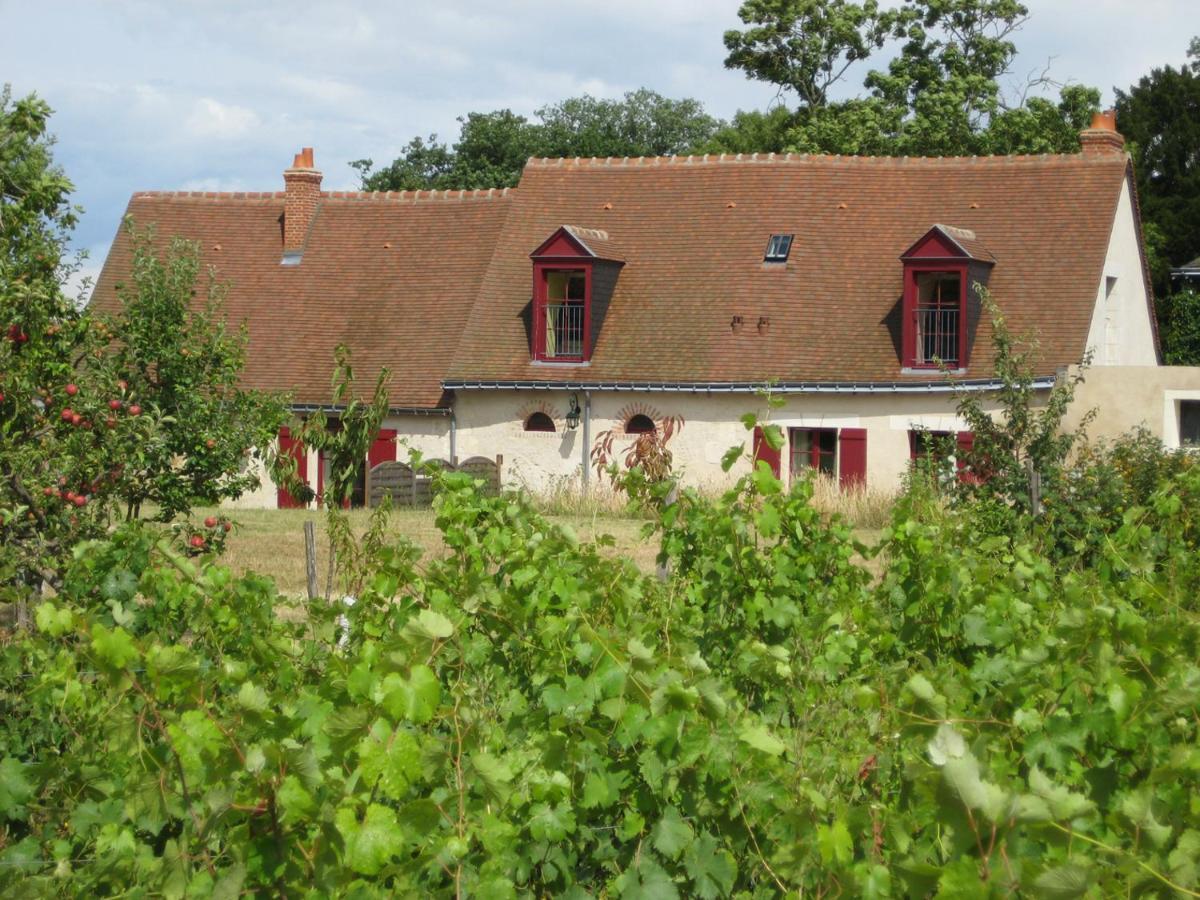 Cottage du vigneron Vernou-sur-Brenne Esterno foto